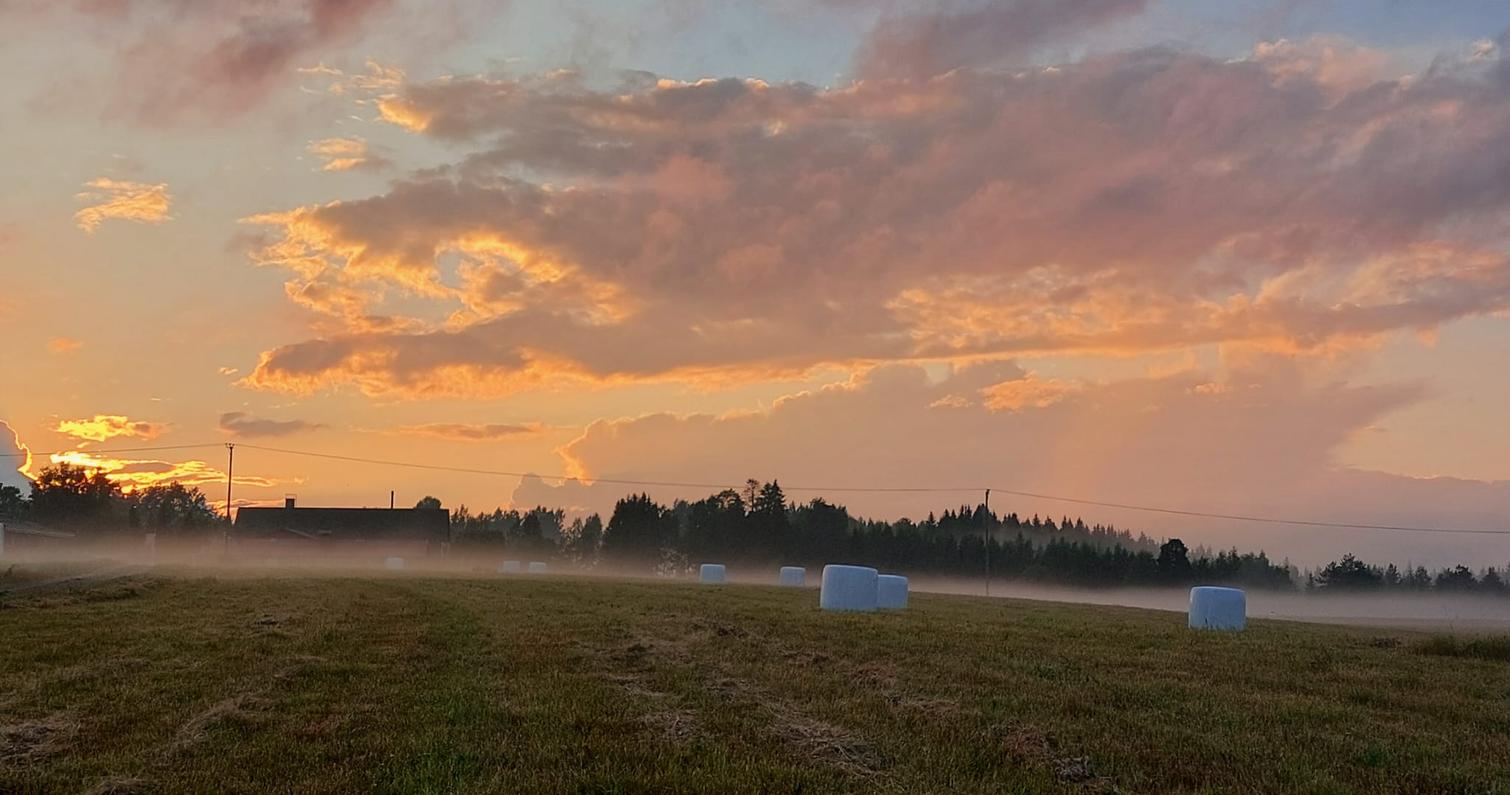 Illanh&auml;my pienviljelij&auml;koulu pelto
