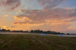Illanh&auml;my pienviljelij&auml;koulu pelto