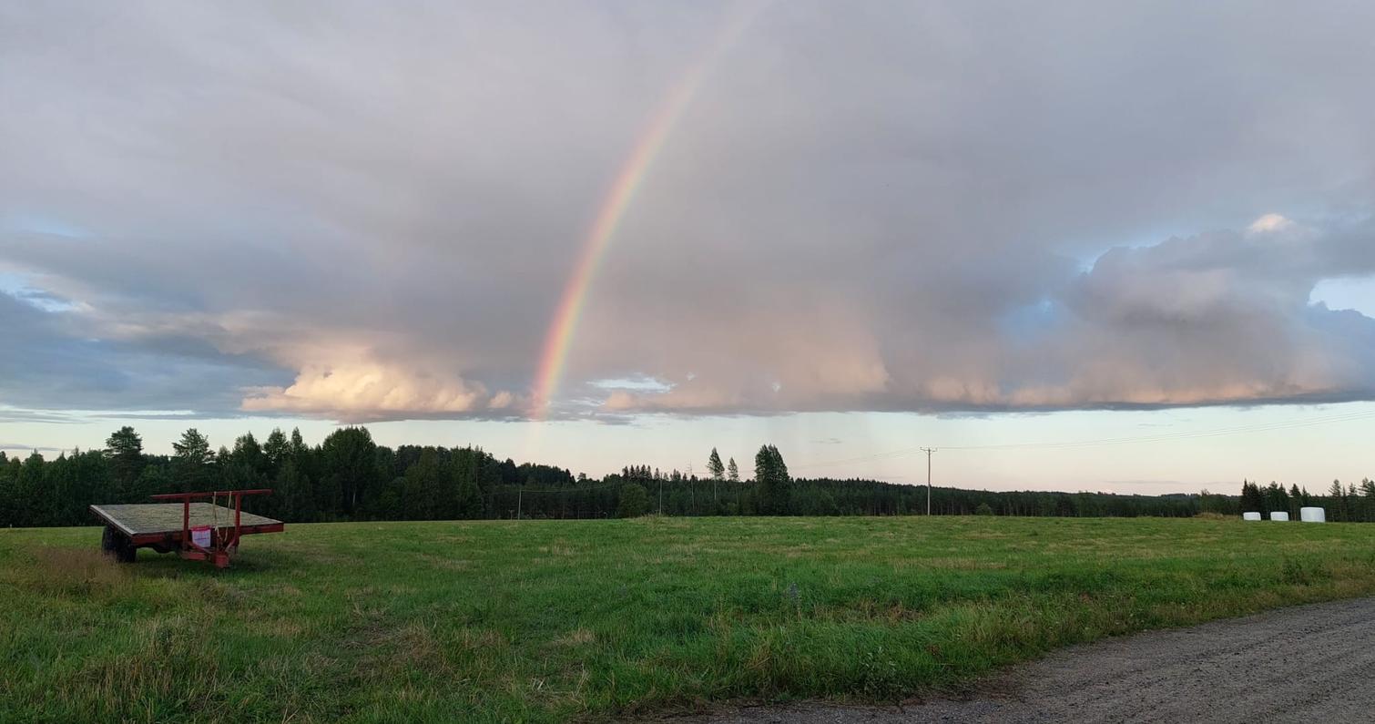 sateenkaari k&auml;rri pelto paali