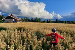 Kaurapelto Parppeinvaara