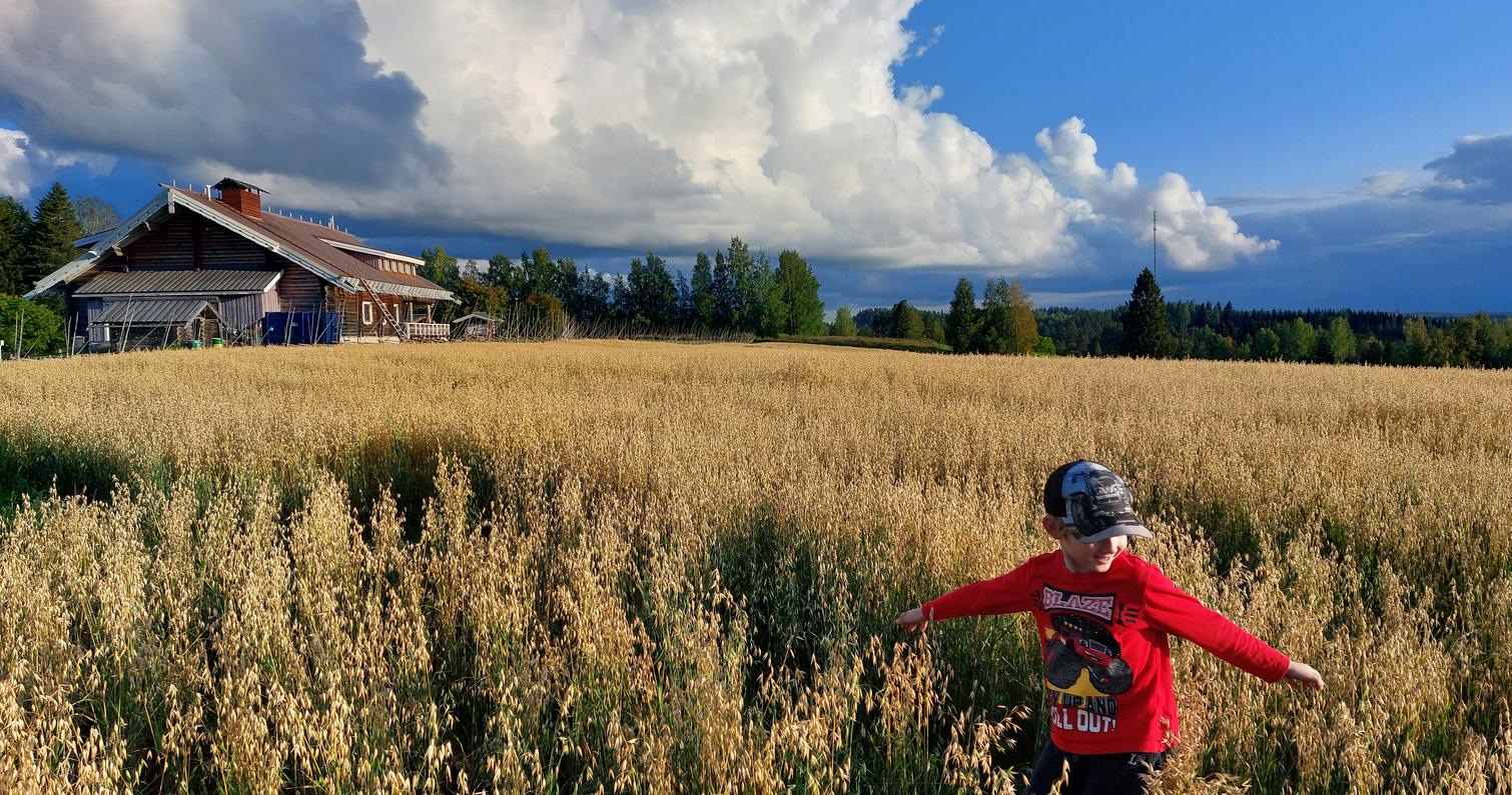 Kaurapelto Parppeinvaara